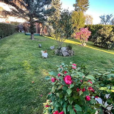 Le Repere Des Ducs - T2 Au Calme, Proche Agen Appartement Le Passage (Lot-et-Garonne)