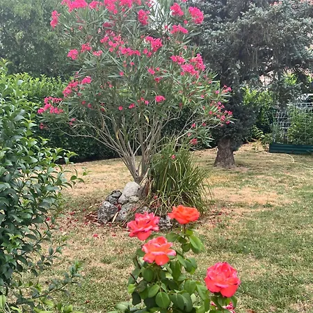 Appartement Le Repere Des Ducs - T2 Au Calme, Proche Agen Le Passage (Lot-et-Garonne)