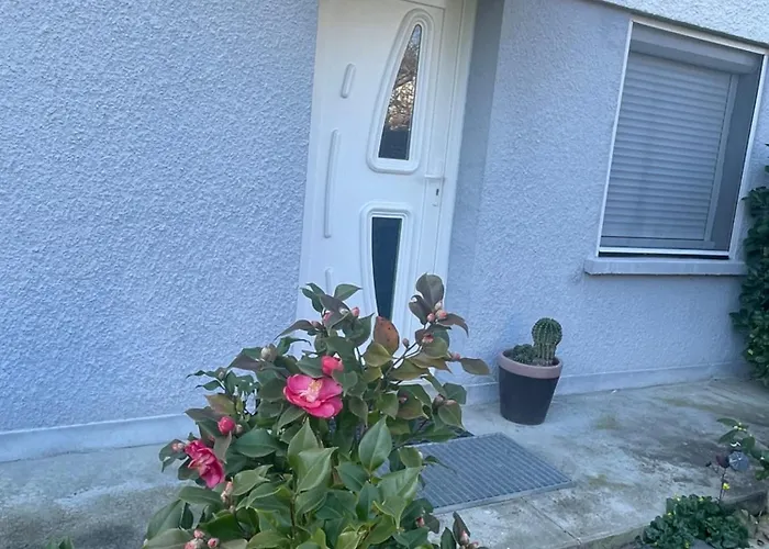 Le Repere Des Ducs - T2 Au Calme, Proche Agen Lejlighed